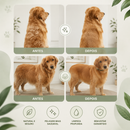 O momento relaxante que o seu animal vai adorar — PetSpa Clean™